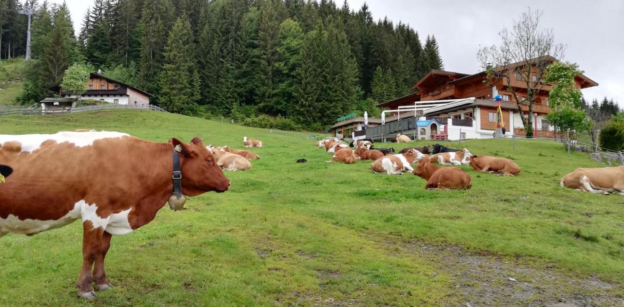 Berghaus Koglmoos Hotell Auffach Eksteriør bilde